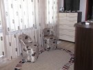 Двухкомнатная квартира в центре г.Варна 