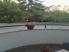 ПРОДАДЕН!Двустаен апартамент в района на Гръцка махала - Варна 