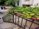 ПРОДАДЕН!Мезонет в идеалния център на Варна , обзаведен 